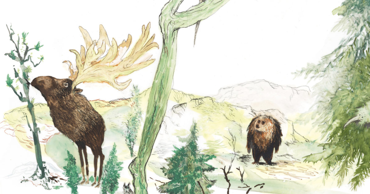 Illustrasjon fra boken Bjørnen sover med bilde av en elg og en bjørn i skogen