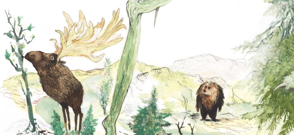 Illustrasjon fra boken Bjørnen sover med bilde av en elg og en bjørn i skogen