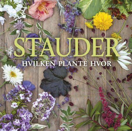 Omslag på Kenneth Ingebretsen og Tommy Tønsbergs bok Stauder – hvilken plante hvor