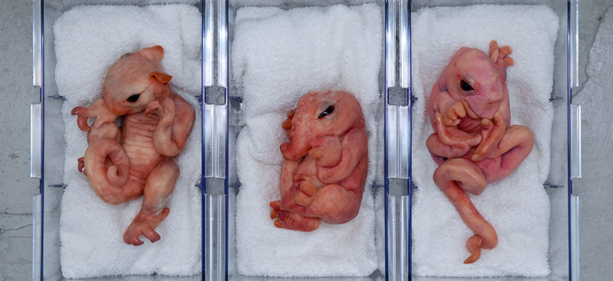 Monsterskulpturer av Line Renslebråten