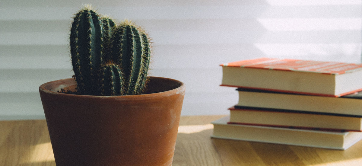 Liten kaktus og en bunke med bøker