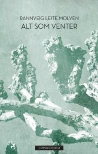 Omslaget til romanen "Alt som venter" av Rannveig Fern Leite Molven