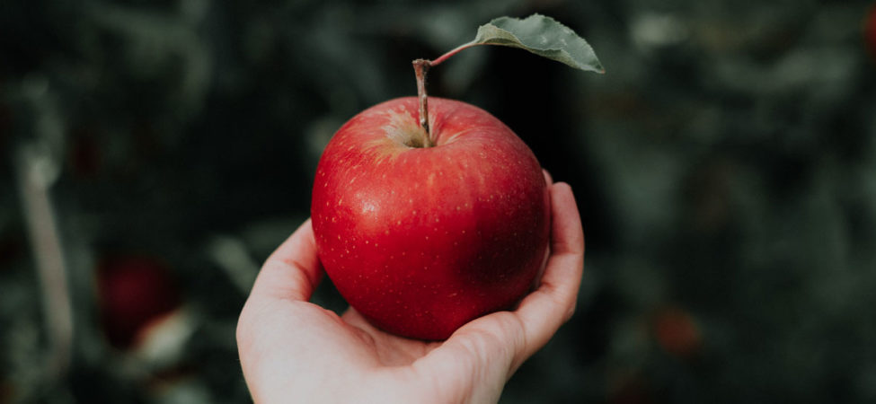 Foto av hånd som holder et rødt eple