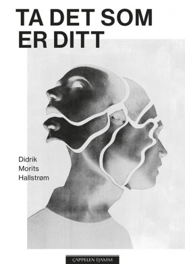 Omslaget til boka "Ta det som er ditt" av Didrik Morits Hallstrøm