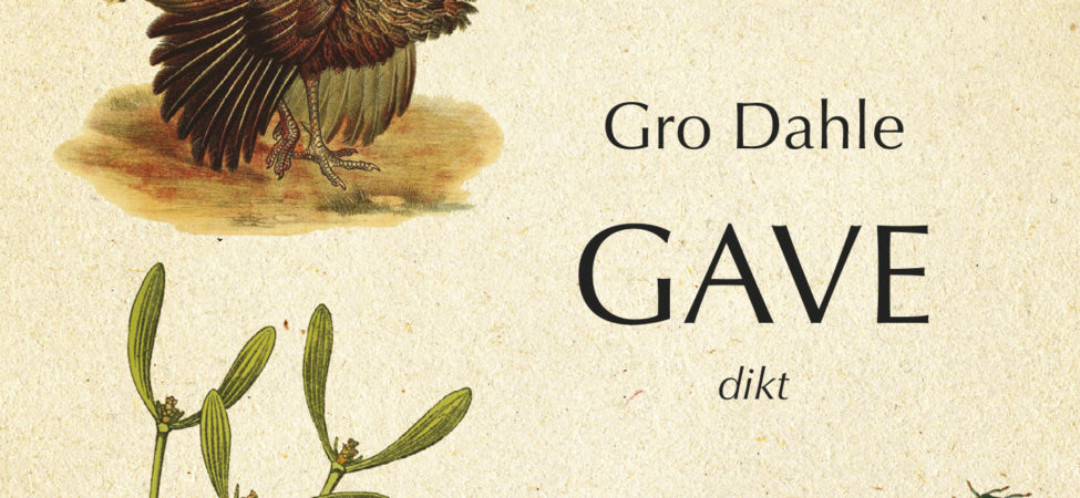 Omslag til «Gave» av Gro Dahle