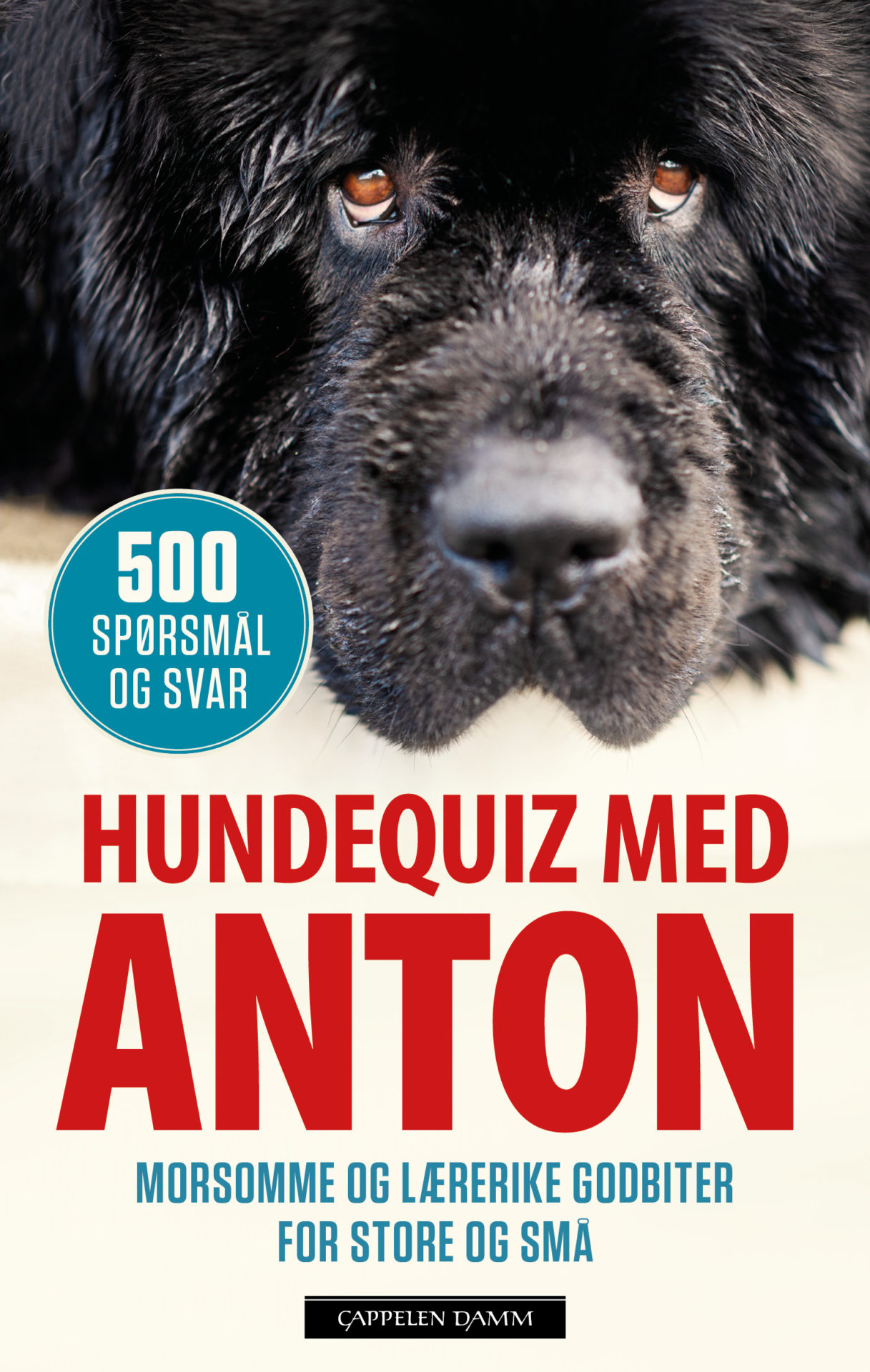 Sommerquiz 2021: 30 quiz-spørsmål og svar for barn og voksne - Boktips