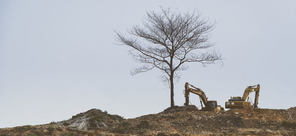 Foto av to gravemaskiner i et øde landskap med ett enkelt tre stående igjen