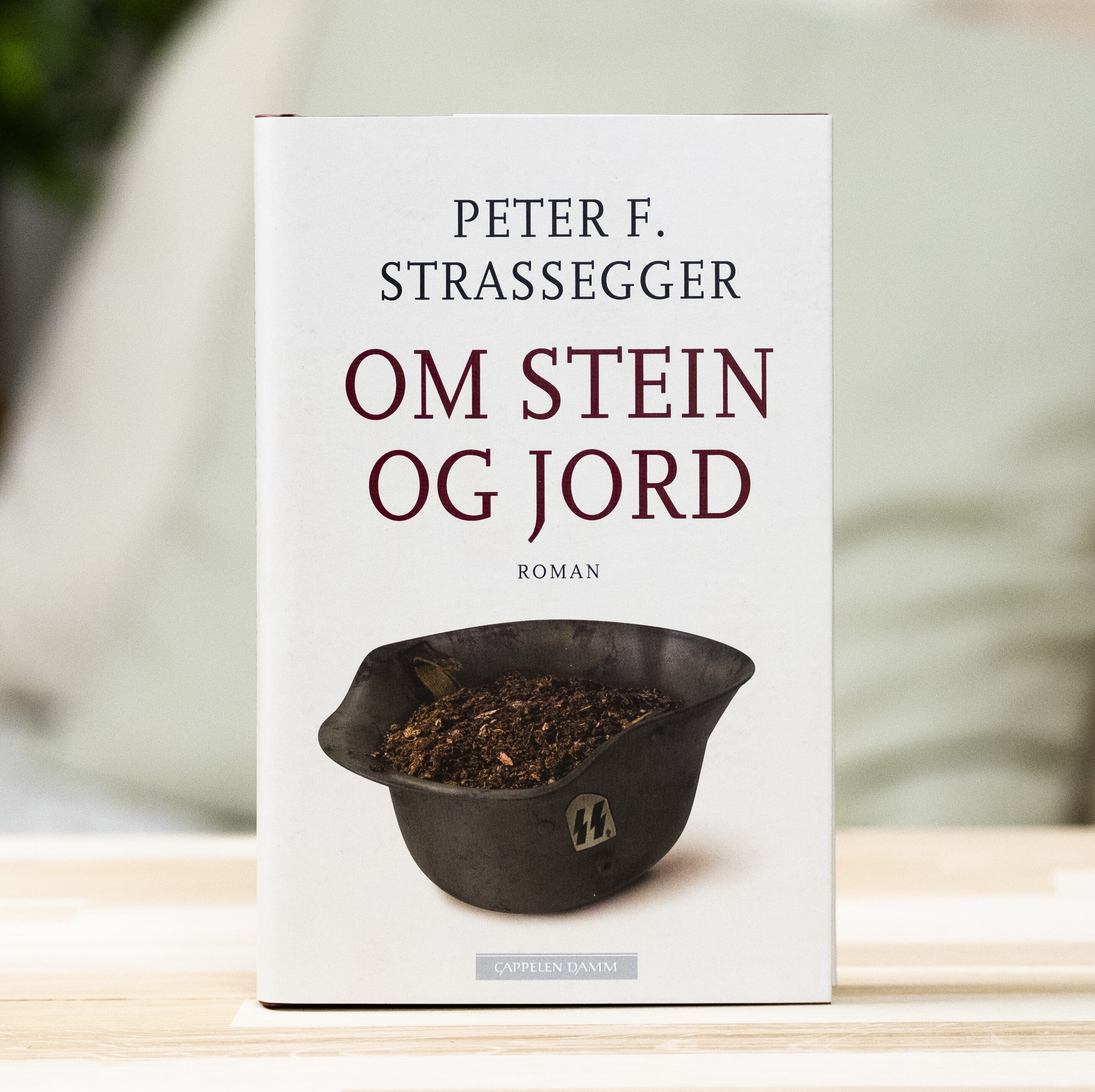 Foto av boka «Om stein og jord» av Peter F. Strassegger