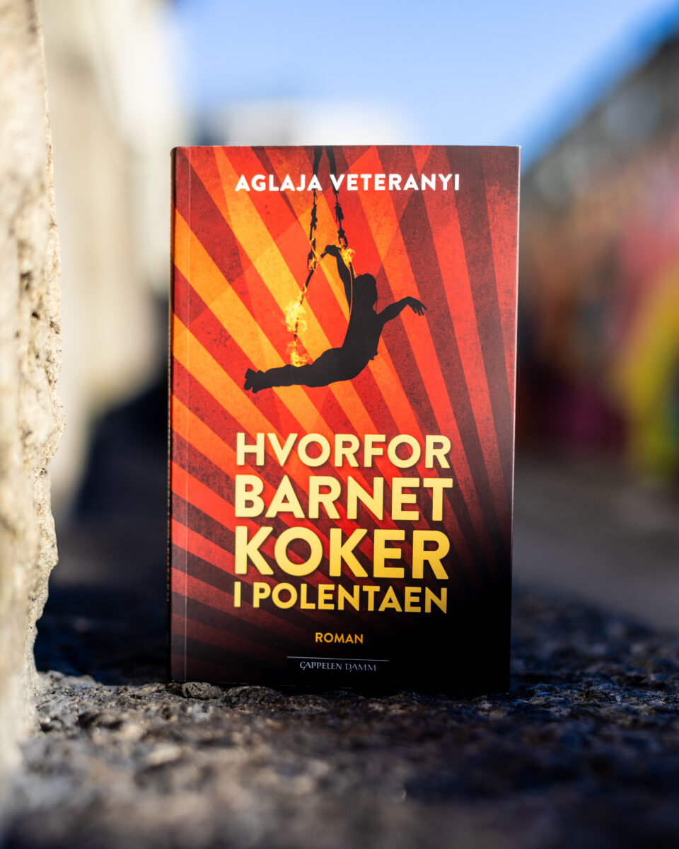 Foto av boka «Hvorfor barnet koker i polentaen» av Aglaja Veteanyi