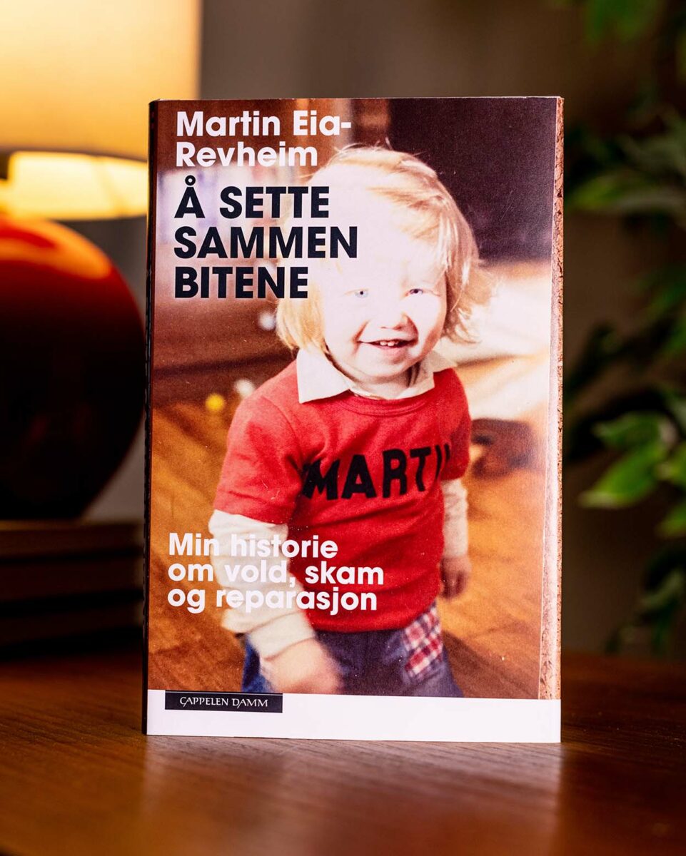 Foto av boka «Å sette sammen bitene» av Martin Eia-Revheim