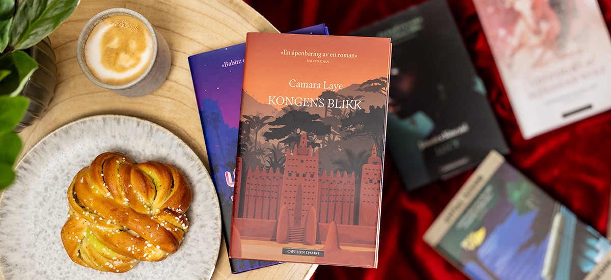 Foto av bokserien "Oversette mesterverk"