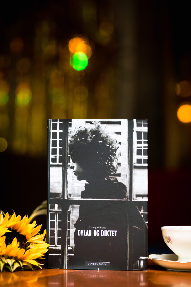 Foto av boka «Dylan og diktet» av Erling Aadland