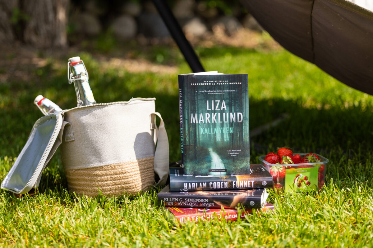 Foto av «Kallmyren» av Liza Marklund, til Sommerens beste bøker 2023