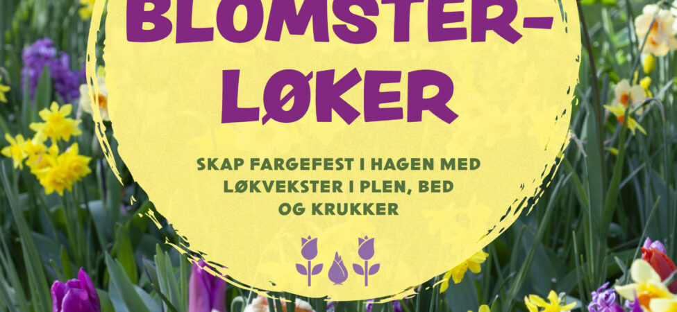 Omslag av "Blomsterløker" av Kenneth Ingebretsen og Tommy Tønsberg