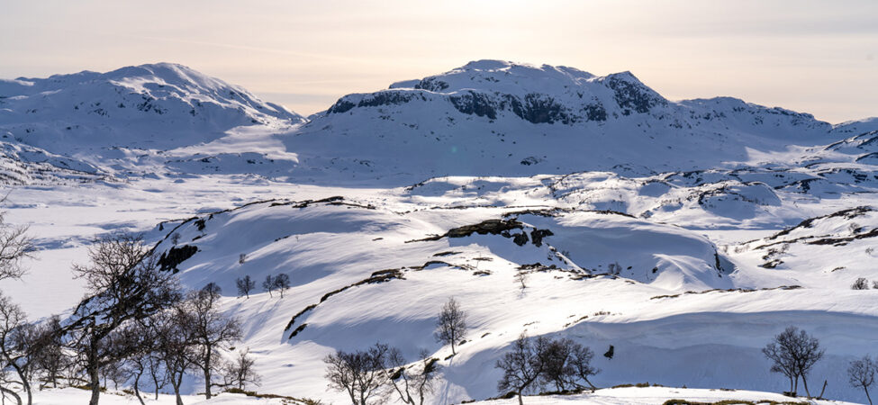 Foto fra et snødekt Haukelifjell