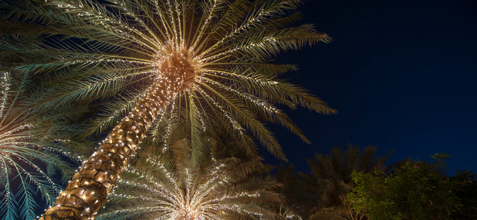 Foto av julepyntede palmetrær