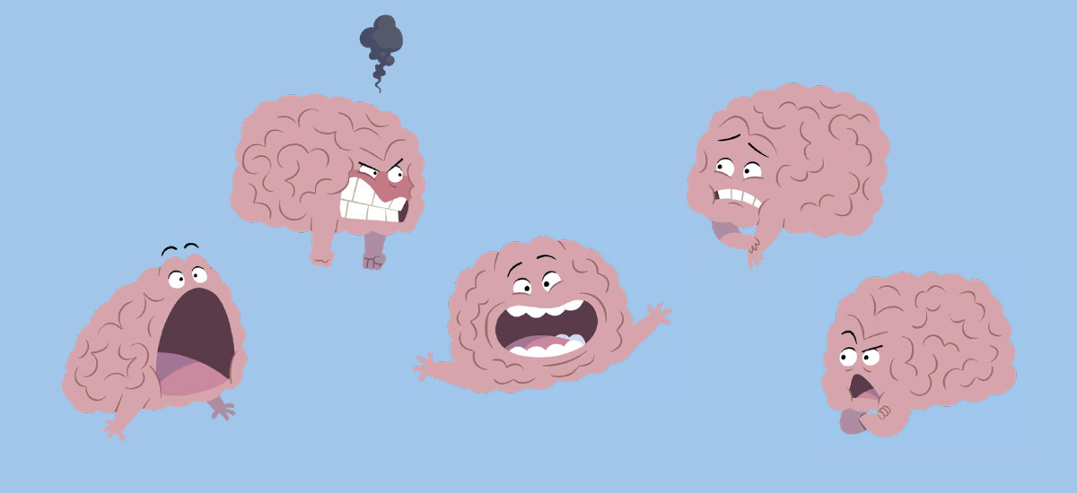 Illustrasjoner av hjernen